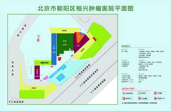 日逼逼女生爽爽爽北京市朝阳区桓兴肿瘤医院平面图